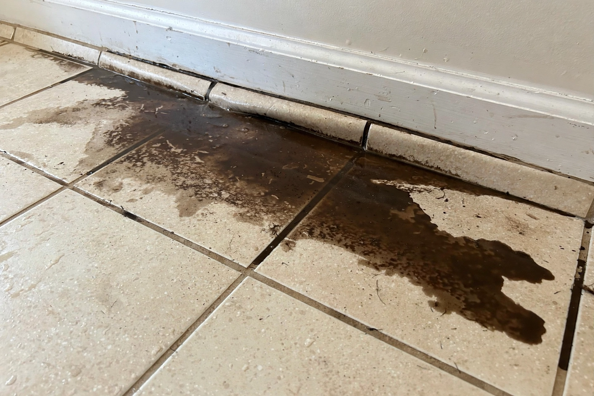 Damp stain spreading across a tile floor along a baseboard